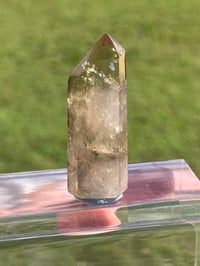 Image 4 of Natural Citrine Point #1850