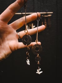 Image 2 of Disc Drops