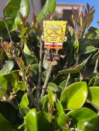 Image 2 of Fresh bob 