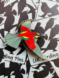 Image 2 of UK Birding Magnets - Choose a species: