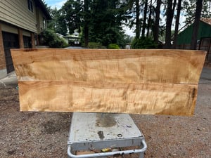 curly silver maple panel bookmatch
