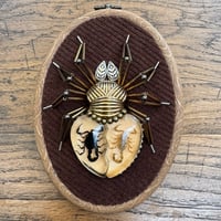 Image 4 of Specimen spider (b, 4x5  inches)