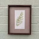 Image 1 of £50 originals - Fern watercolour