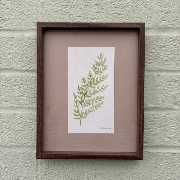 Image of £50 originals - Fern watercolour