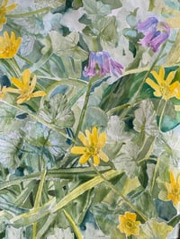 Image 3 of ‘New beginnings’ Print