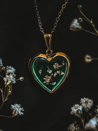 Image 1 of The Evergreen Locket