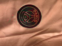 Image 3 of PSG Pink 