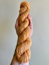 Image 2 of Creamsicle 2-ply