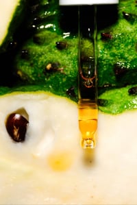 Image 4 of SOURSOP OIL | Pure Treatment