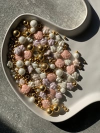 Image 2 of LUXURY SHELL MIX 