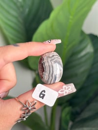 Image 12 of MEXICAN LACE AGATE PALM STONES