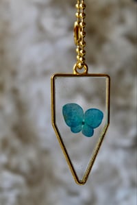 Image 1 of Butterfly Blue