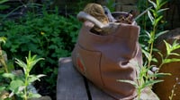Image 4 of 'Cave Bear' Project Bag