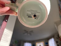 Image 3 of Jewel Orchid in Seafoam Green Teacup