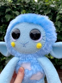 Image 2 of Sunny the Jumbo Sheep