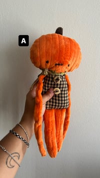 Image 1 of Pumpkin Rag Dolls