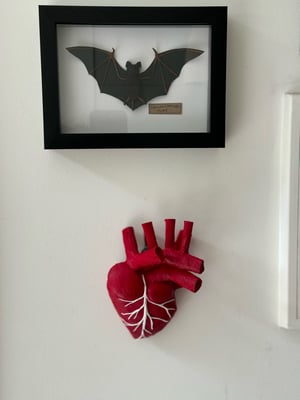 Image of Anatomical Heart