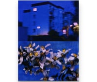 Image 1 of MIDNIGHT BLUE