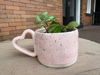 Image 4 of Watermelon Peperomia in Light Pink Heart Mug