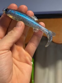 Image 3 of 4” Creek Chub “Borealis” 