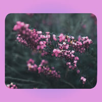 Pink Heather Flower Mouse pad