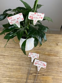 Image 5 of Plant Stakes