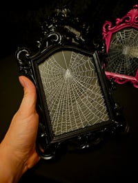 Image 1 of Gothic black ornate framed preserved web 