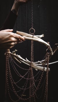 Image 3 of Rib Mobile 1