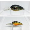 Medium pumpkin seed crank bait 