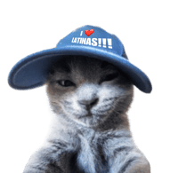 Image 2 of I <3 Latinas! Peeper