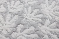 Image 2 of “Pallid Mourning” Coral Wall Hanging Quilt