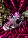 Magenta Aura Quartz & Carborundum - Coyote Skull