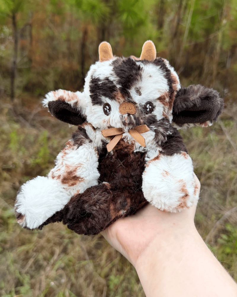 Image of Tiramisu Chocolate Moo Baby Noodle