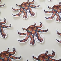 Coconut Crab