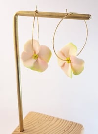 Image 2 of Boucles SUZANNE 