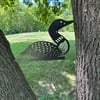 Loon