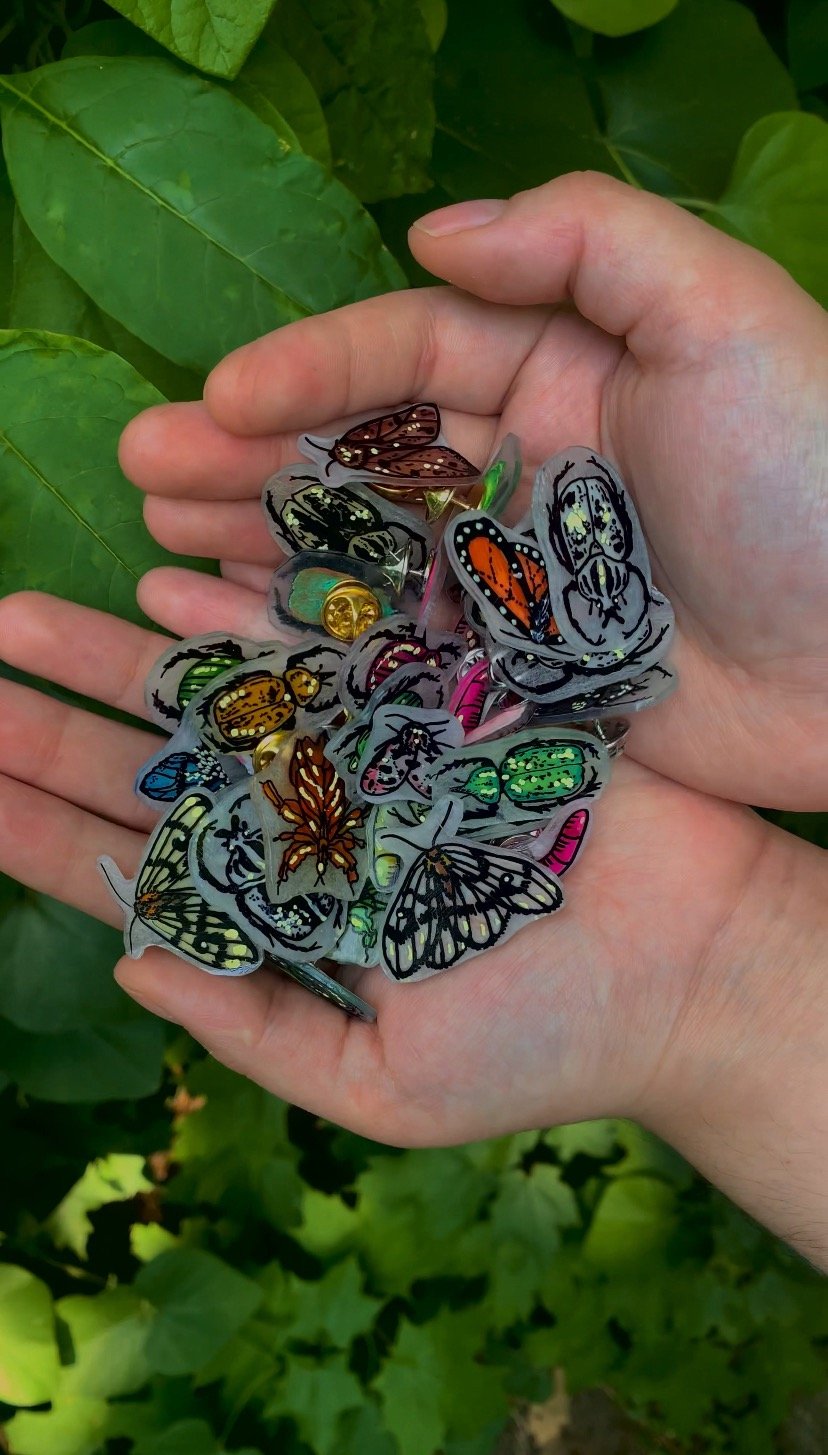 Image of Mystery Bug Pins ( 4 count )