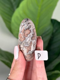 Image 4 of MEDIUM SANGRIA LACE AGATE SHIVAS