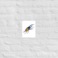 Image 1 of Hercules Beetle Print
