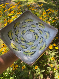 Image 3 of Elevated Dish