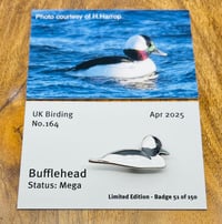 Image 1 of Bufflehead - No.164 - UK Birding Pins