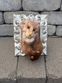 Image 1 of Tell Me All Your Secrets 
