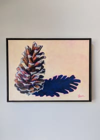 Image 2 of Loblolly Pine Cone #1