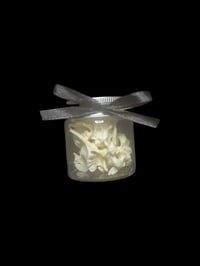 large wild cat vertebrae bones jar