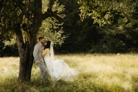 $250 off an elopement or intimate wedding 
