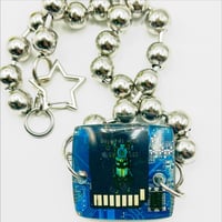 Image 2 of Weevil Beetle 