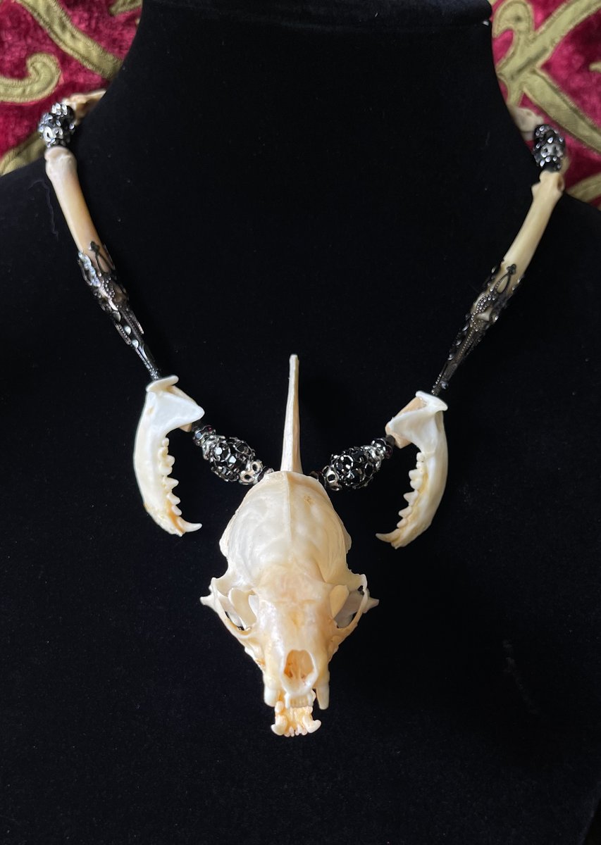Skeleton Pendant Jewelry Made From Animal Bones Mink Skull