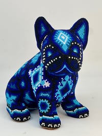 Image 1 of French Bulldog Puppy 002