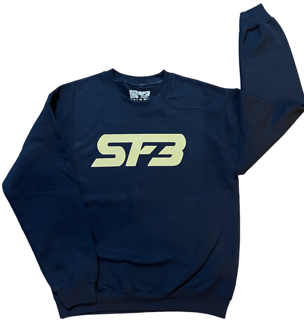 Sparkling Gold On Navy SF3 Hoodie/Crewneck