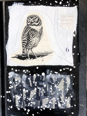 Image of Owl Journal- mixed media